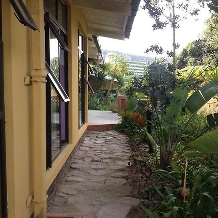 Auberge de jeunesse Jungle Monkey Backpackers à Port Saint Johnʼs Extérieur photo