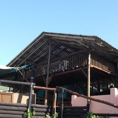 Auberge de jeunesse Jungle Monkey Backpackers à Port Saint Johnʼs Extérieur photo