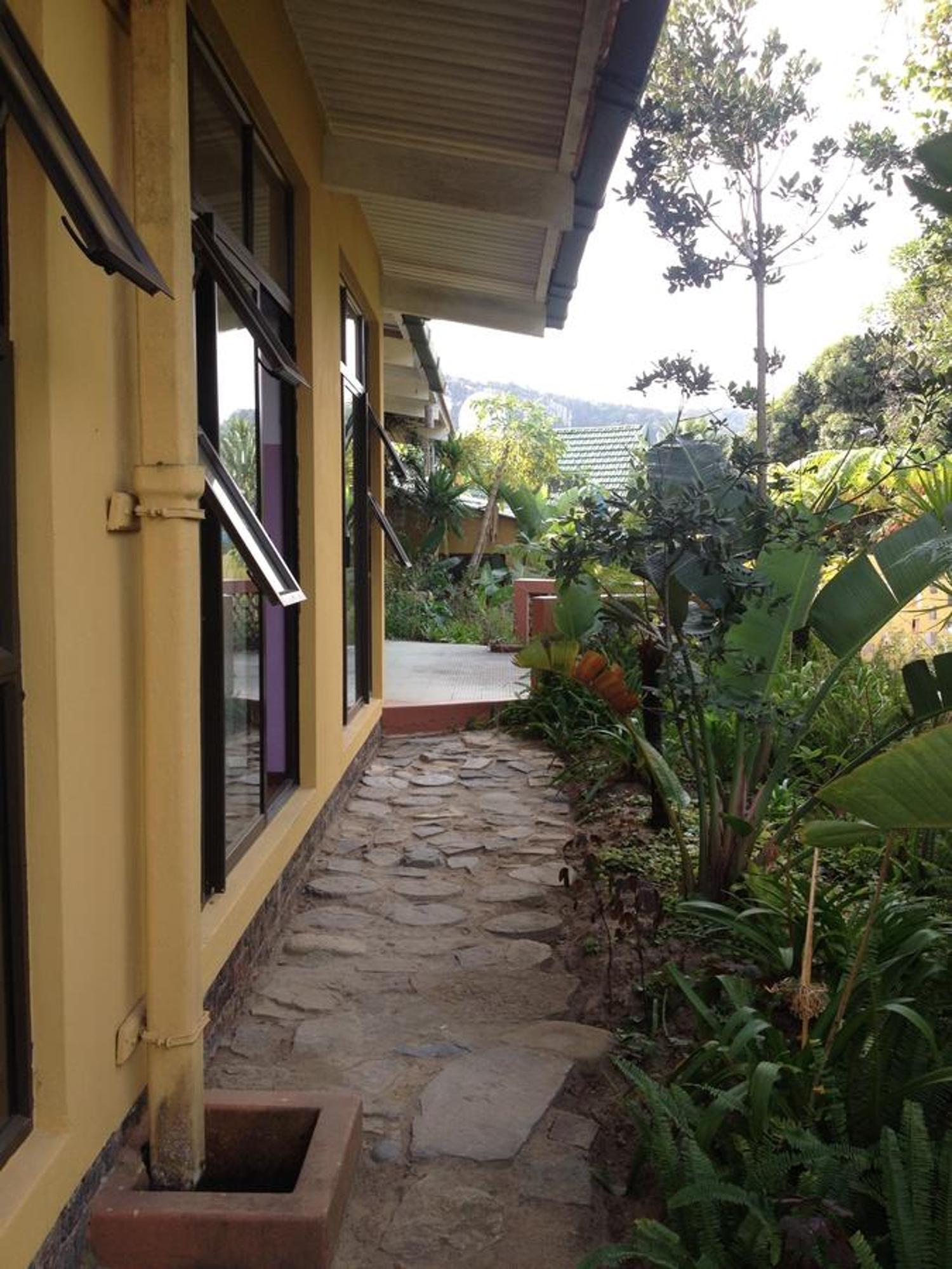 Auberge de jeunesse Jungle Monkey Backpackers à Port Saint Johnʼs Extérieur photo