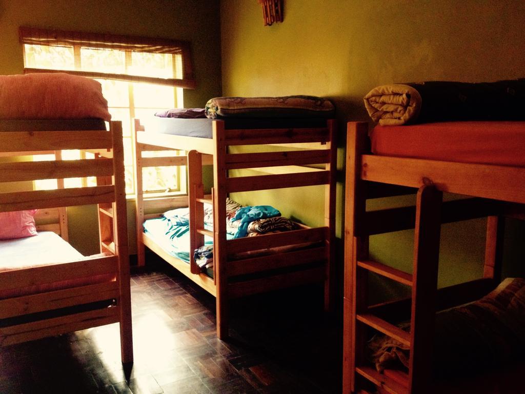 Auberge de jeunesse Jungle Monkey Backpackers à Port Saint Johnʼs Chambre photo