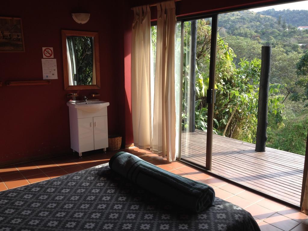 Auberge de jeunesse Jungle Monkey Backpackers à Port Saint Johnʼs Chambre photo