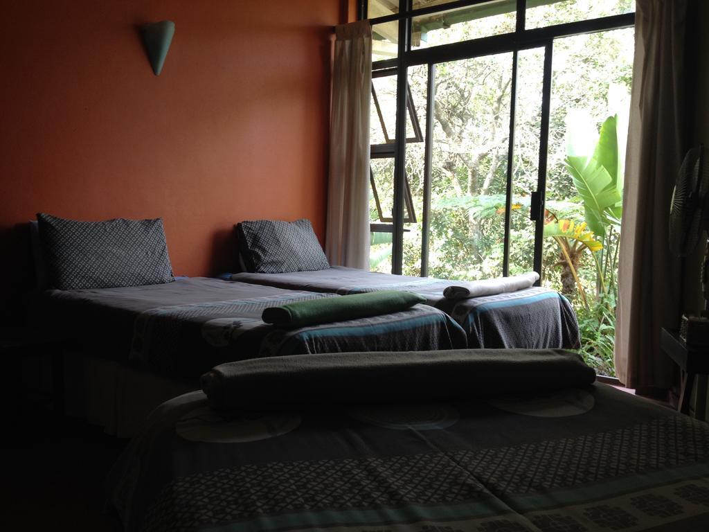 Auberge de jeunesse Jungle Monkey Backpackers à Port Saint Johnʼs Chambre photo