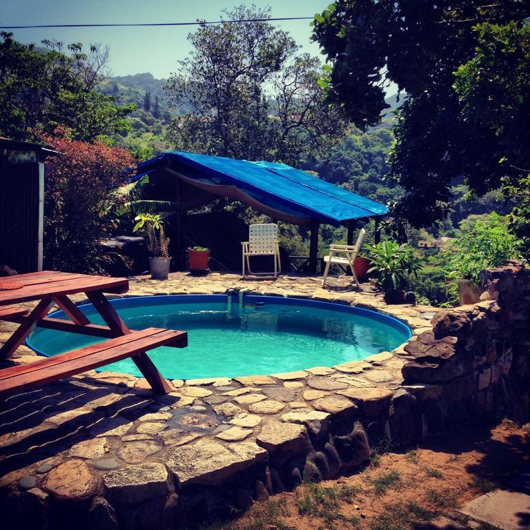 Auberge de jeunesse Jungle Monkey Backpackers à Port Saint Johnʼs Chambre photo