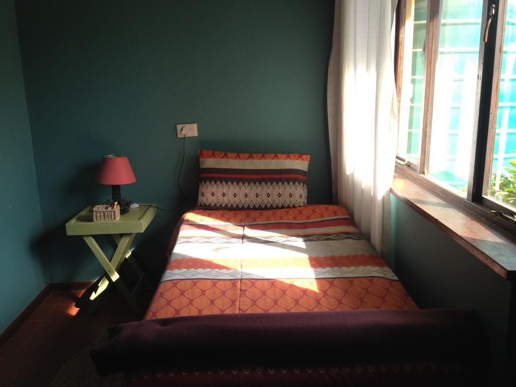 Auberge de jeunesse Jungle Monkey Backpackers à Port Saint Johnʼs Chambre photo