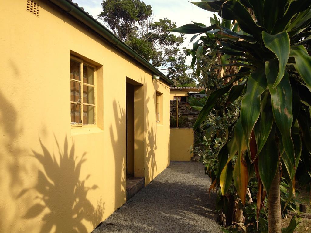 Auberge de jeunesse Jungle Monkey Backpackers à Port Saint Johnʼs Chambre photo
