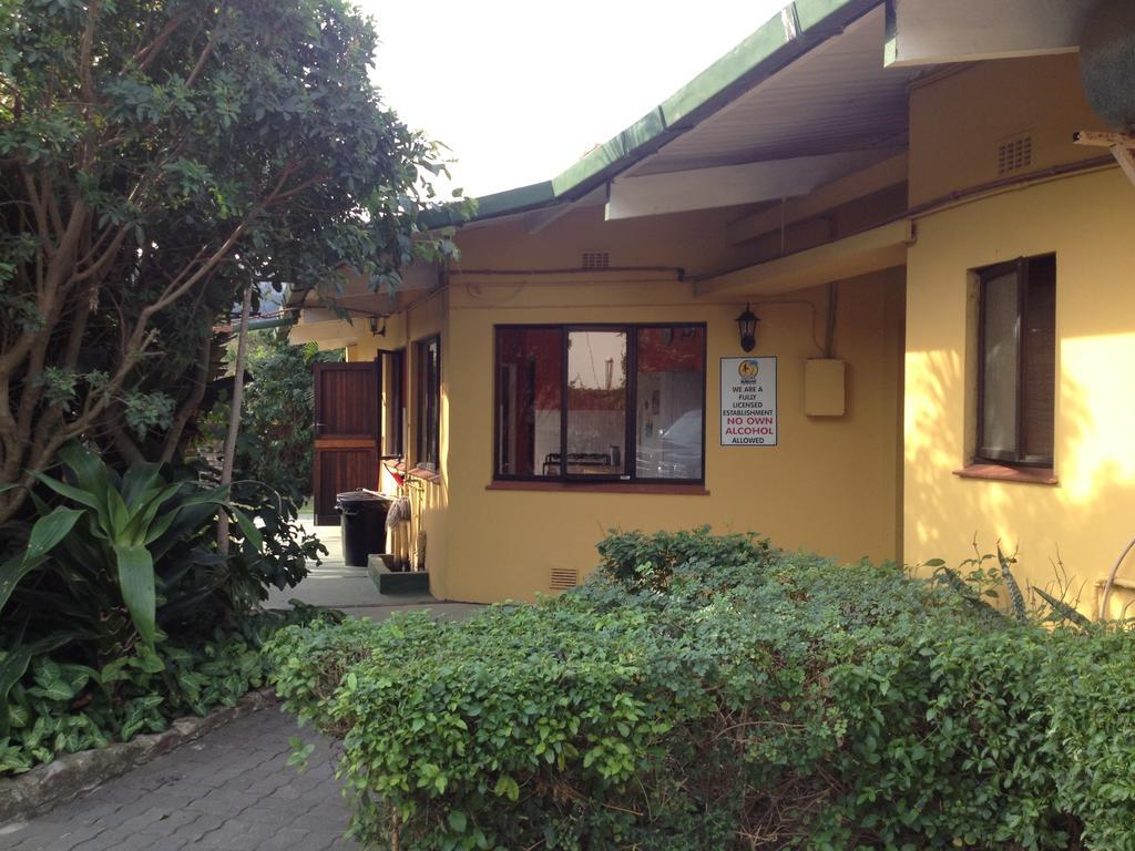 Auberge de jeunesse Jungle Monkey Backpackers à Port Saint Johnʼs Chambre photo