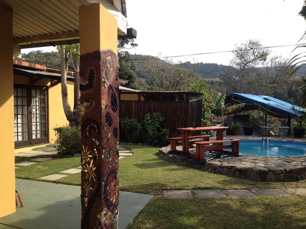 Auberge de jeunesse Jungle Monkey Backpackers à Port Saint Johnʼs Chambre photo