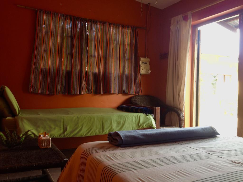 Auberge de jeunesse Jungle Monkey Backpackers à Port Saint Johnʼs Chambre photo
