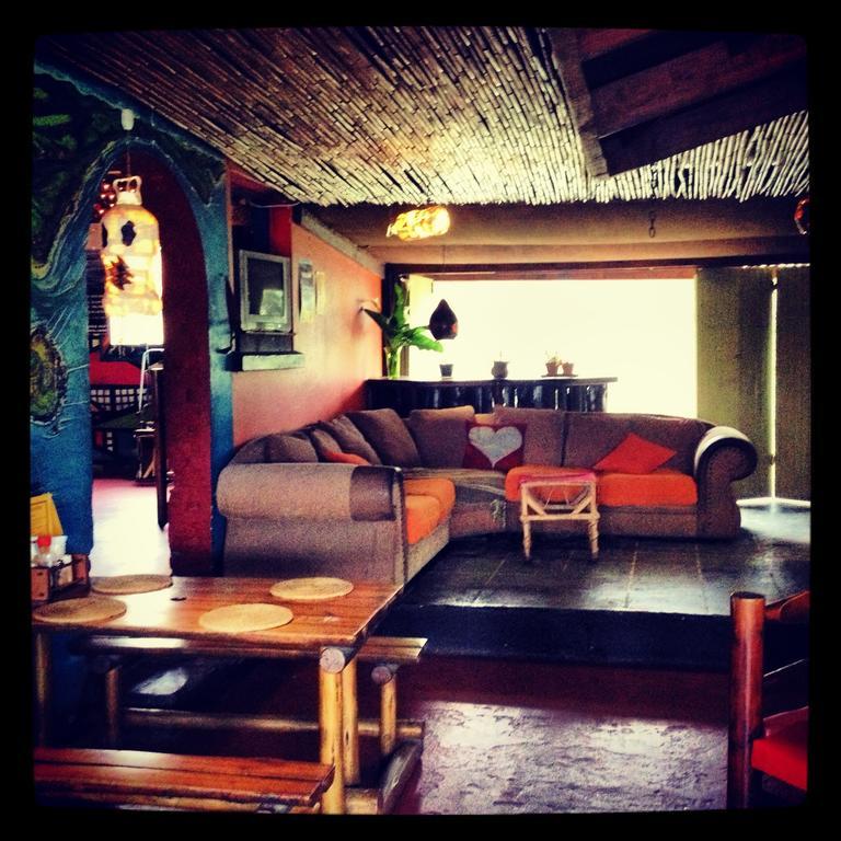 Auberge de jeunesse Jungle Monkey Backpackers à Port Saint Johnʼs Extérieur photo