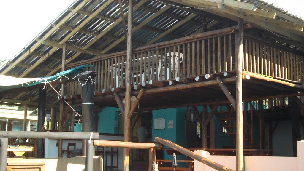 Auberge de jeunesse Jungle Monkey Backpackers à Port Saint Johnʼs Extérieur photo