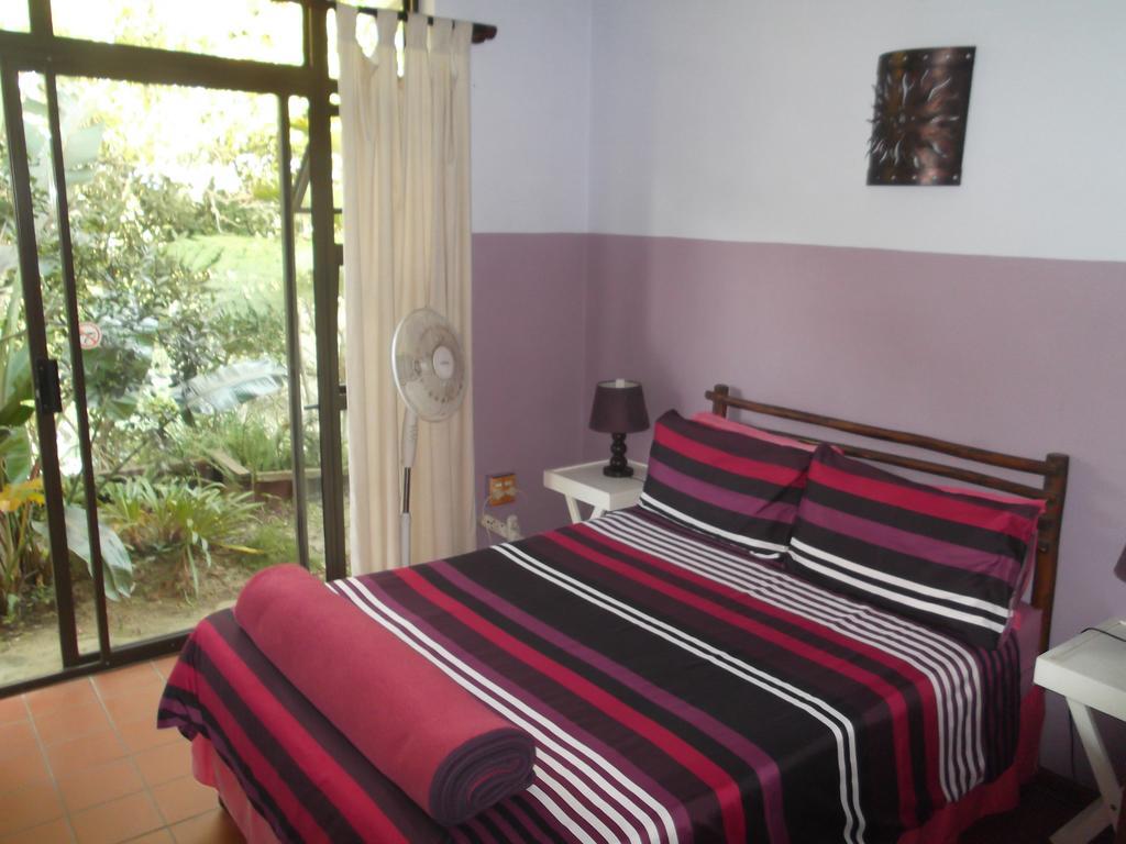 Auberge de jeunesse Jungle Monkey Backpackers à Port Saint Johnʼs Extérieur photo